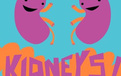 Tips for Keeping Your Kidneys Healthy
